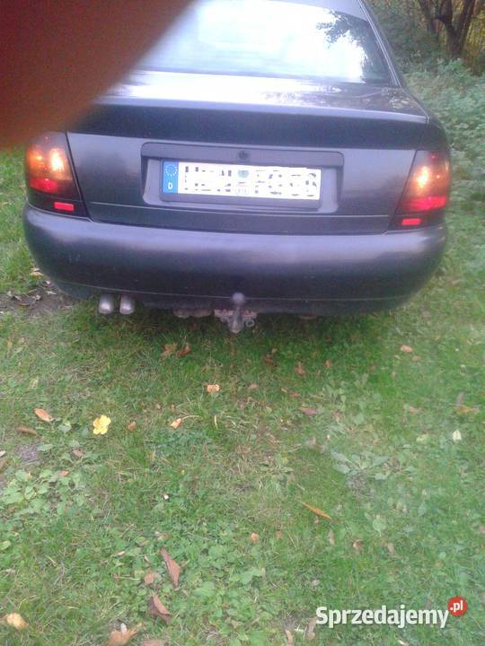 audi a4 b5 lampy tył lexus lakierowane brewki Rok produkcji 1998 Przemyśl