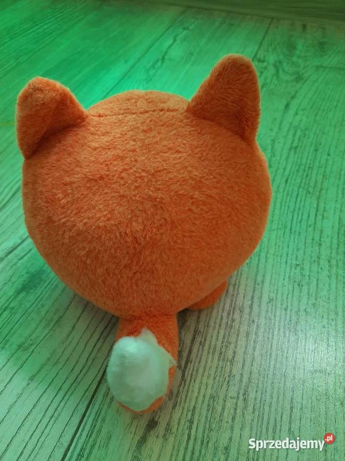 10 pluszaków dzieci Goleniów