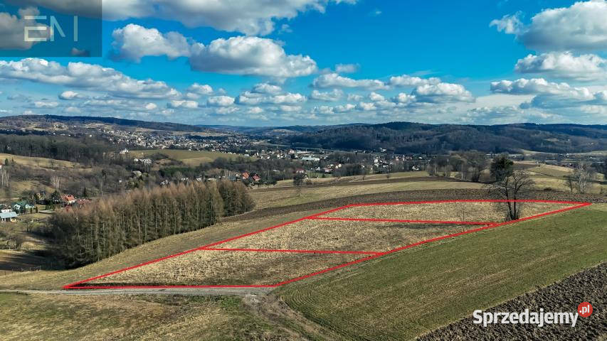 sprzedaży działki Czudec 1300m2