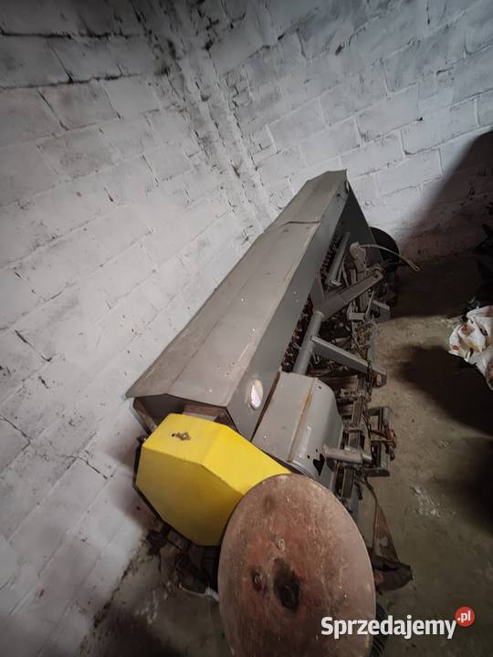 Siewnik poznaniak Wichrowice sprzedam