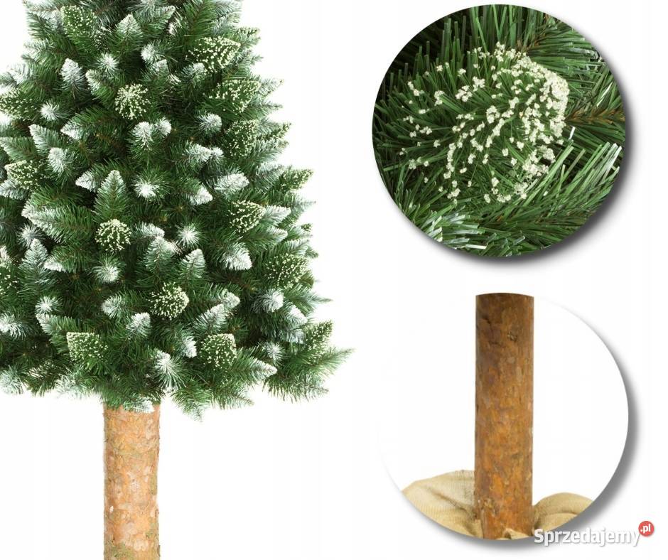 CHOINKA NA STOJAKU 180 SOSNA DIAMENTOWA PIEŃ Kielce