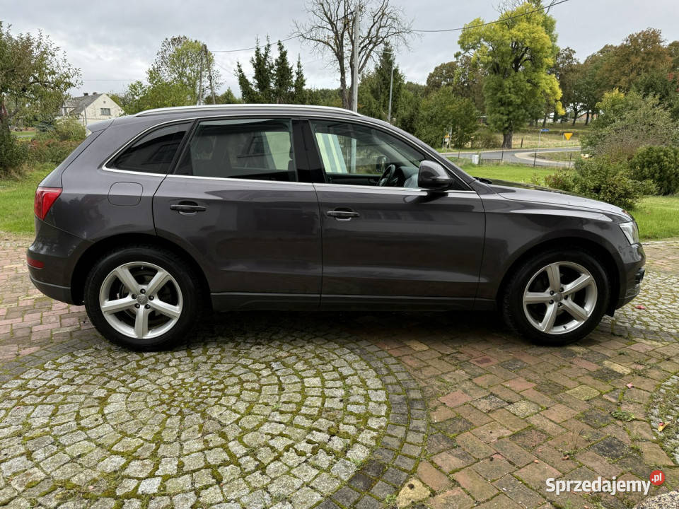 Audi Q5 20TDI 172 Navi Android 19 nowe opony 143KM Ocice