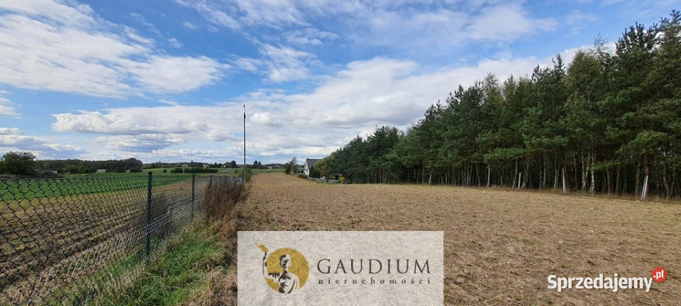 Koteże działka tuż lesie