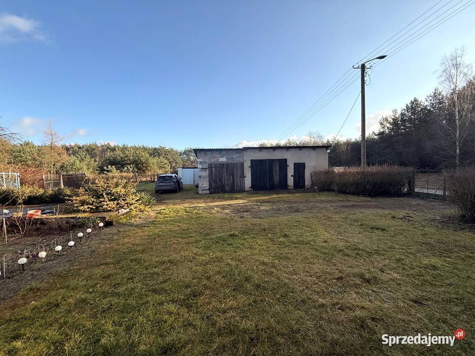Dom z dużą działką i lasem w Nowinach Brdowskich mieszkalny Nieruchomości Nowiny Brdowskie