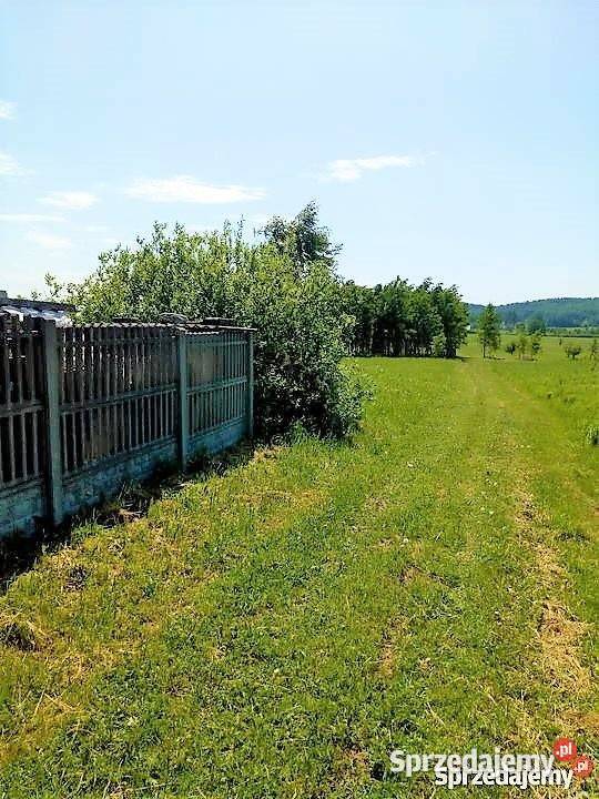 Sprzedaż działki Chęciny 1000 metrów