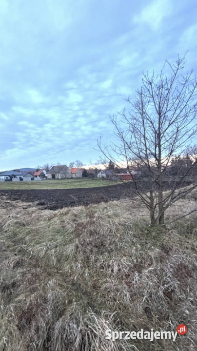 Działka z widokiem na Ślężę S8 budowlana dolnośląskie Oleszna