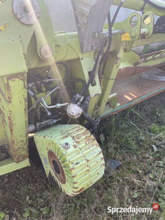 Claas Conspeed 875 FC przystawka do kukurydzy wielkopolskie Jastrzębniki