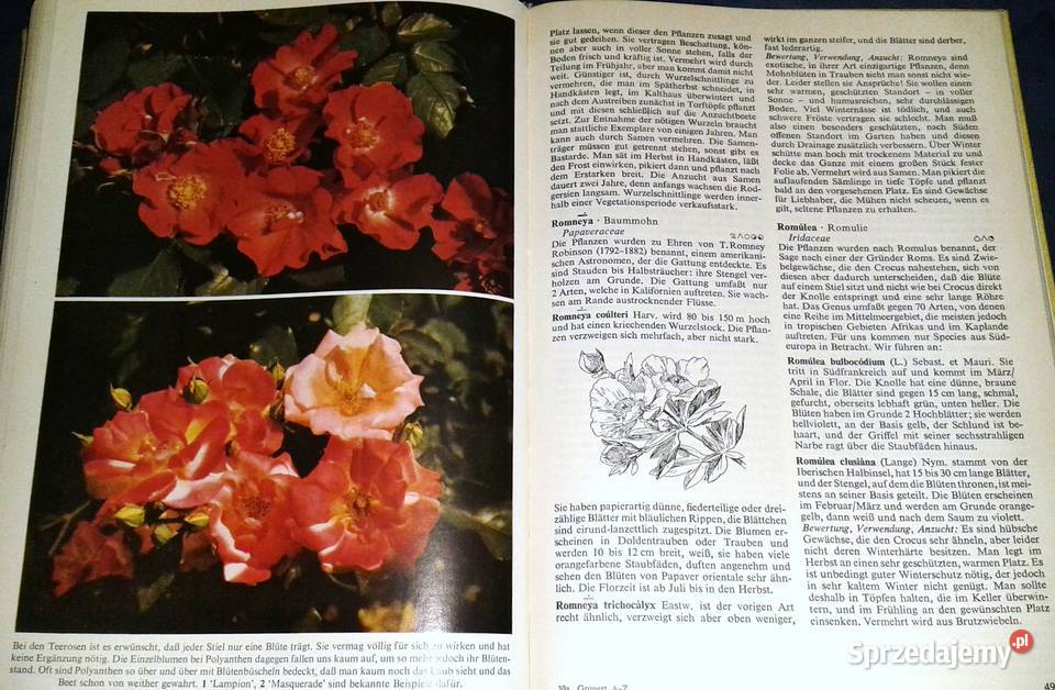 Gartenblumen von A bis Z Christian Grunert Chełm