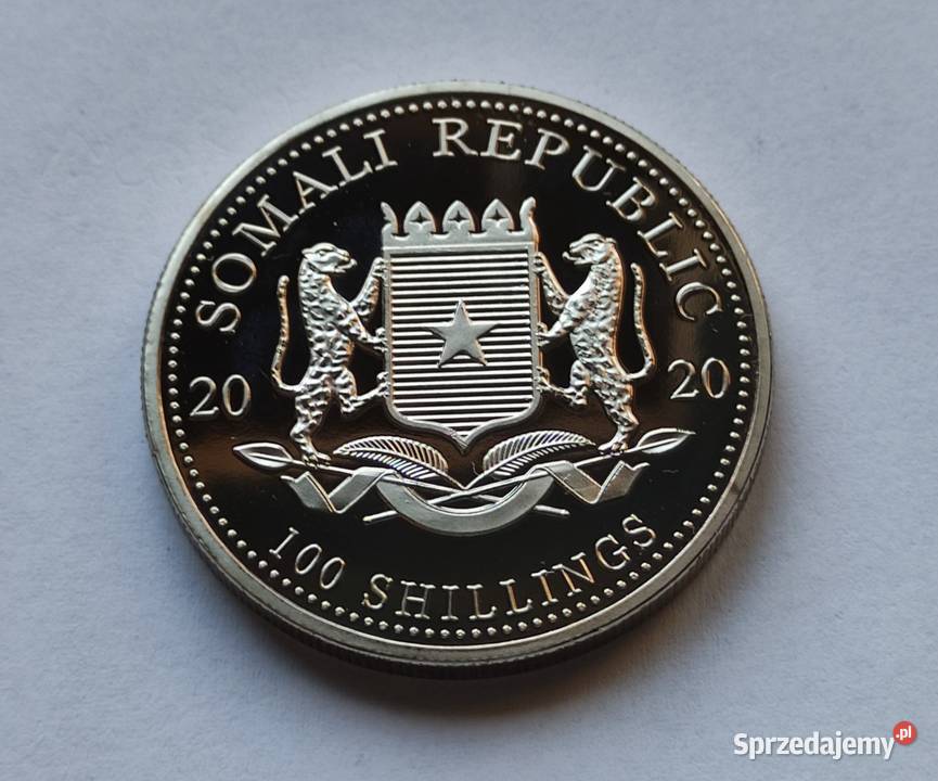 MONETA SOMALIA 100 SHILLINGS 2020 SŁOŃ Pruszków