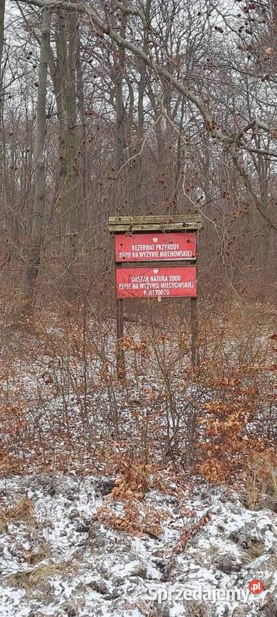 Działka leśna rolna Kępie