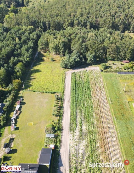 Działka Barkowice Mokre 1605m2