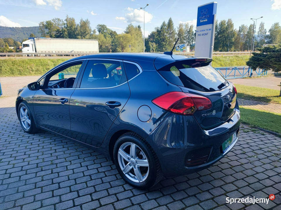 Kia Ceed Bezwypadkowy kompletna dokumentacja grafitowy Kia Ustroń