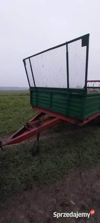 Rozrzutnik obornika czarno białostocka Izbica Kujawska