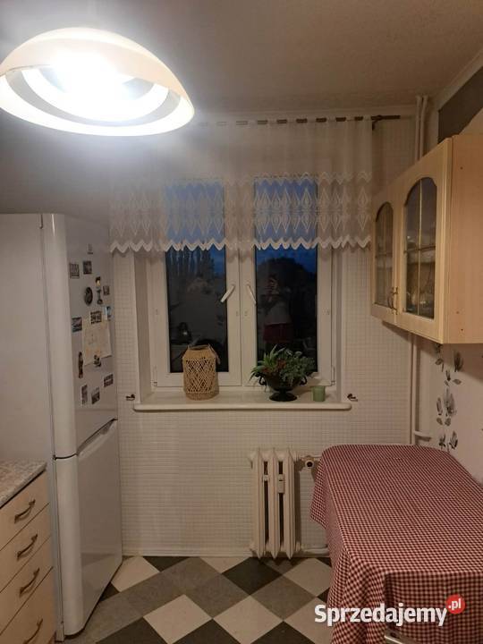 Mieszkanie w bloku dom nieruchomości Mogilno sprzedam