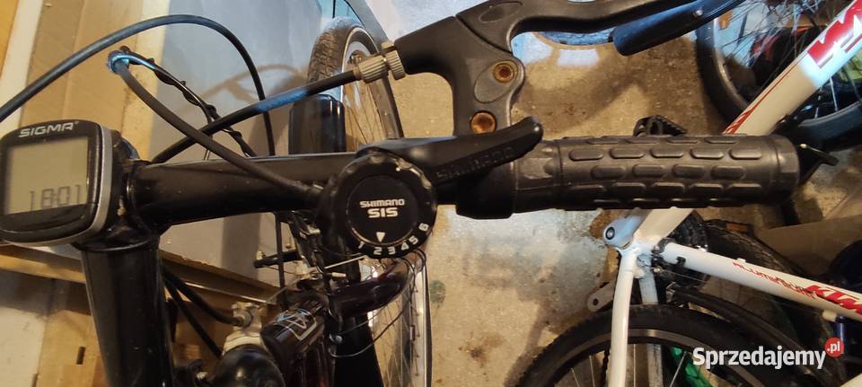 Rower Eco Bike damski koła 26