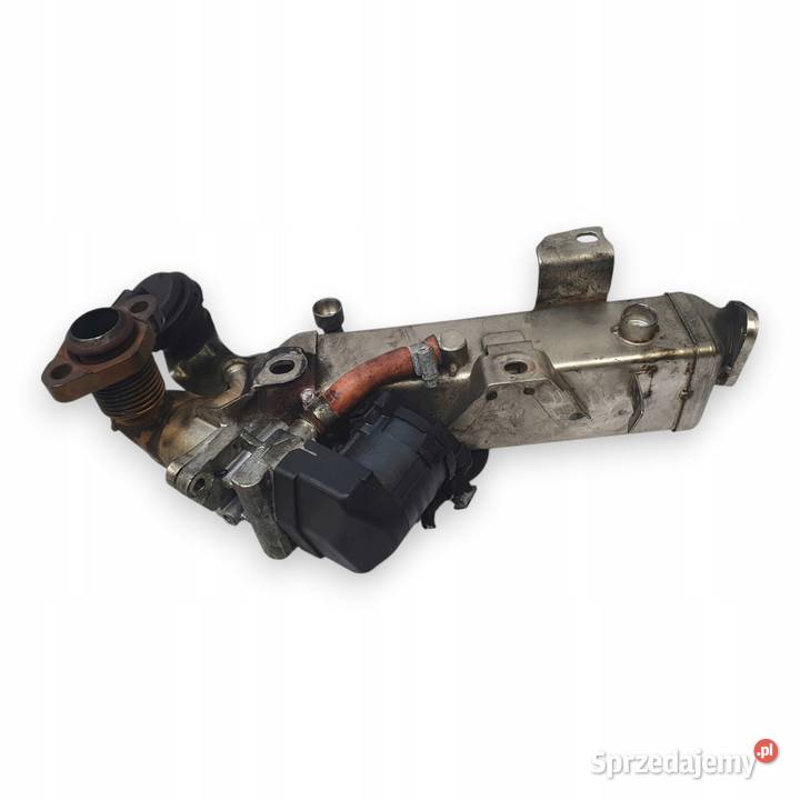 CHŁODNICA SPALIN BMW E90 E91 20 D egr 7810751 Chełm