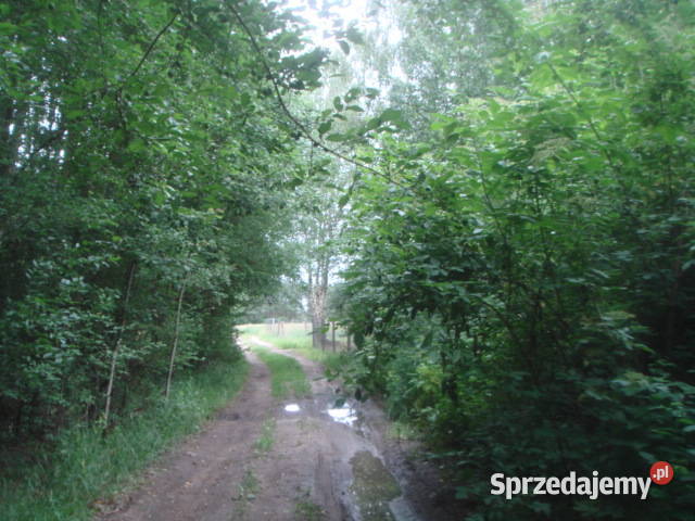 Syndyk sprzeda nieruchomość w miejscowości rolna Wolanów sprzedam
