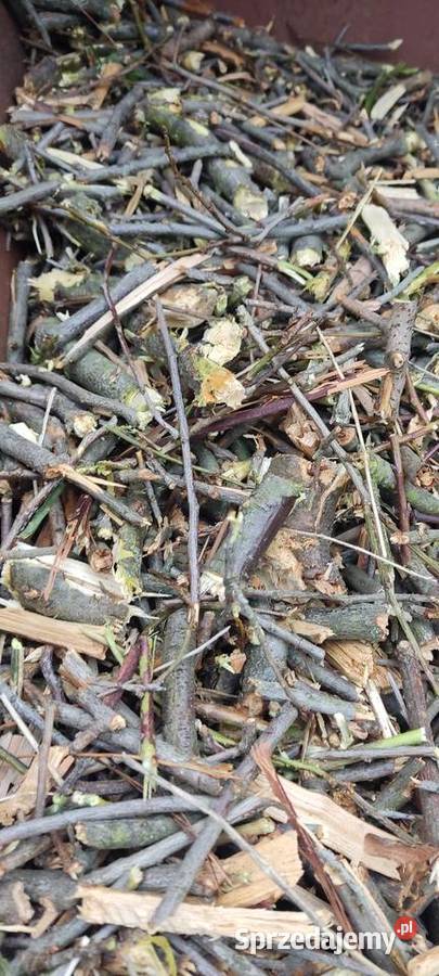 Zrębki akacjowośliwkowe lubelskie Chełm