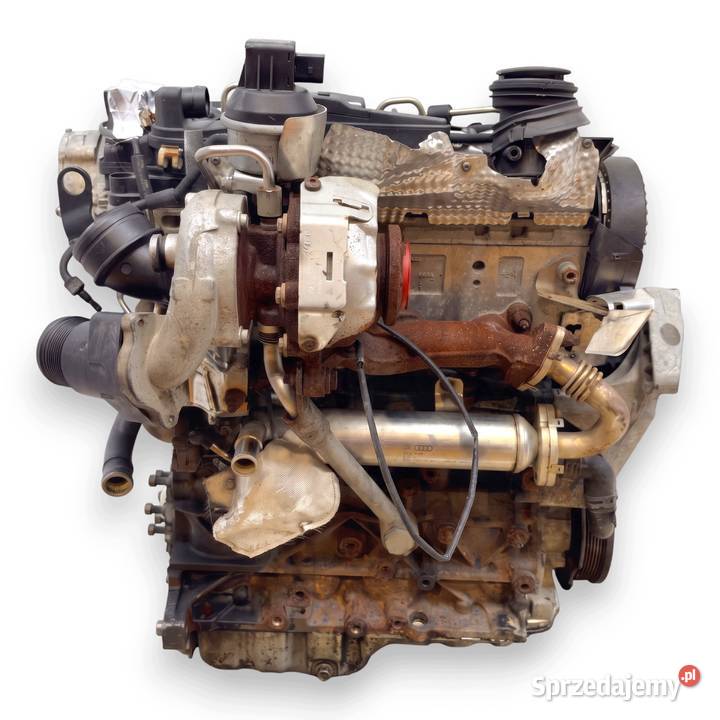 SILNIK CBA CBAB VW Golf VI Eos Passat B6 CC Chełm