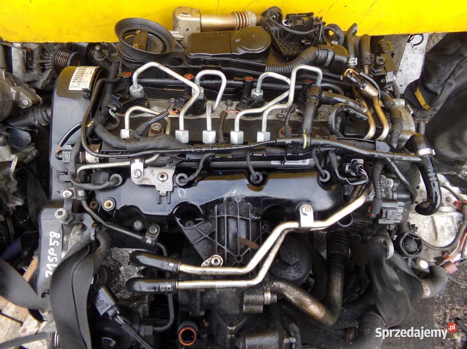 AUDI A5 A6 A4 Q5 EXEO 20 TDI 11r 170 silnik CAH osobowe Suków