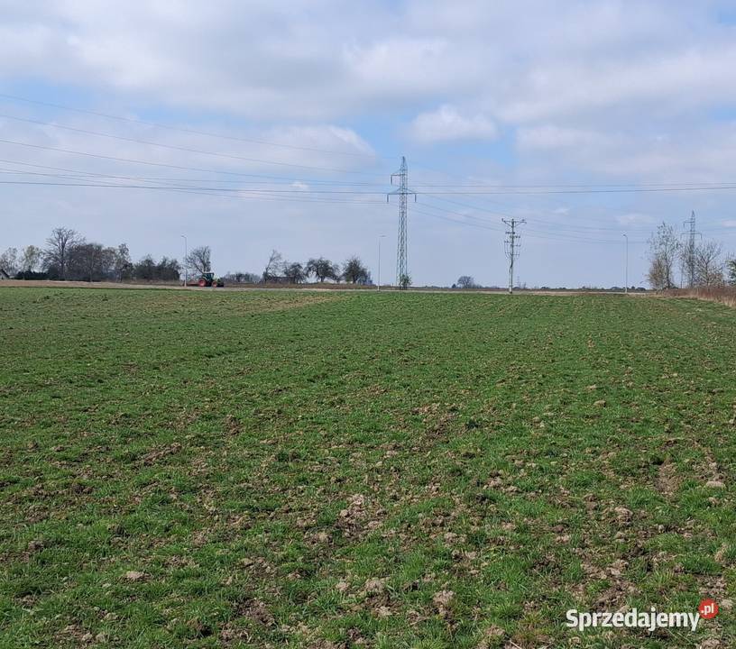 Inwestora Panattoni Park Żory dojazd asfaltowy woda