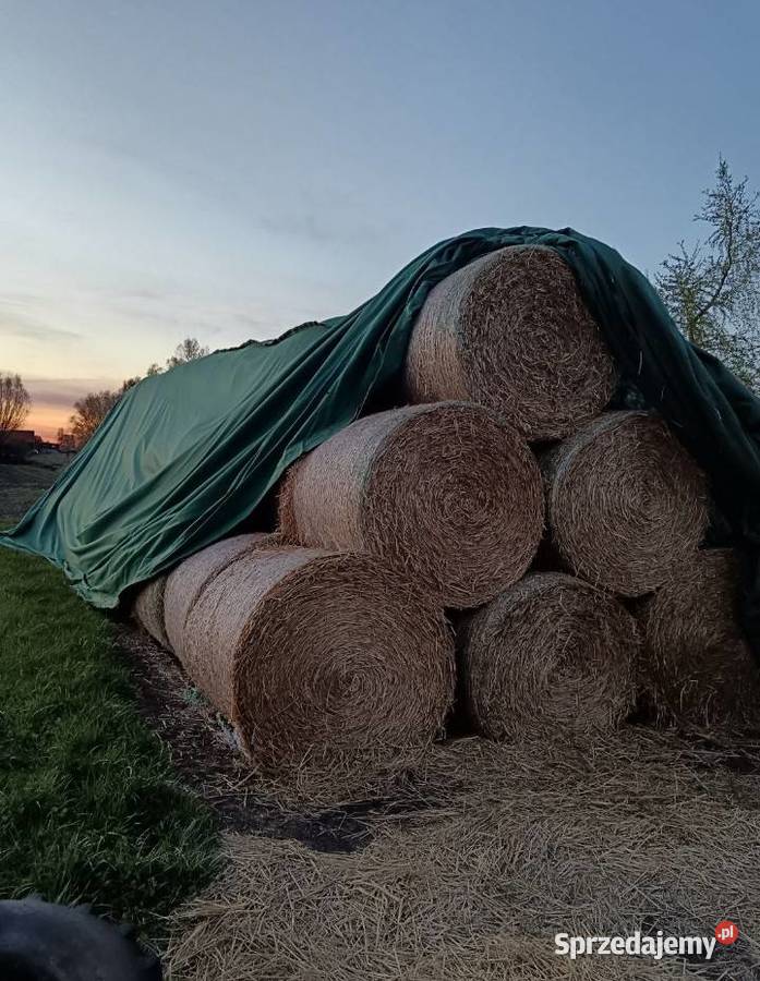 Słoma sprzedam 30 bel sprzedam
