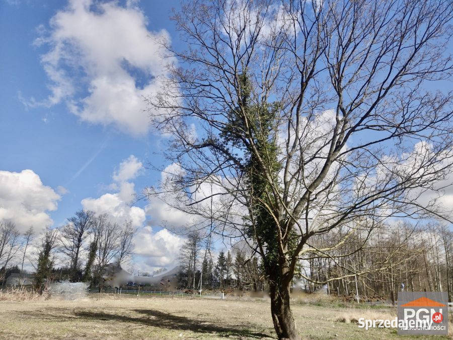 Działka 4140m Wolin Spokojna budowlana Nieruchomości