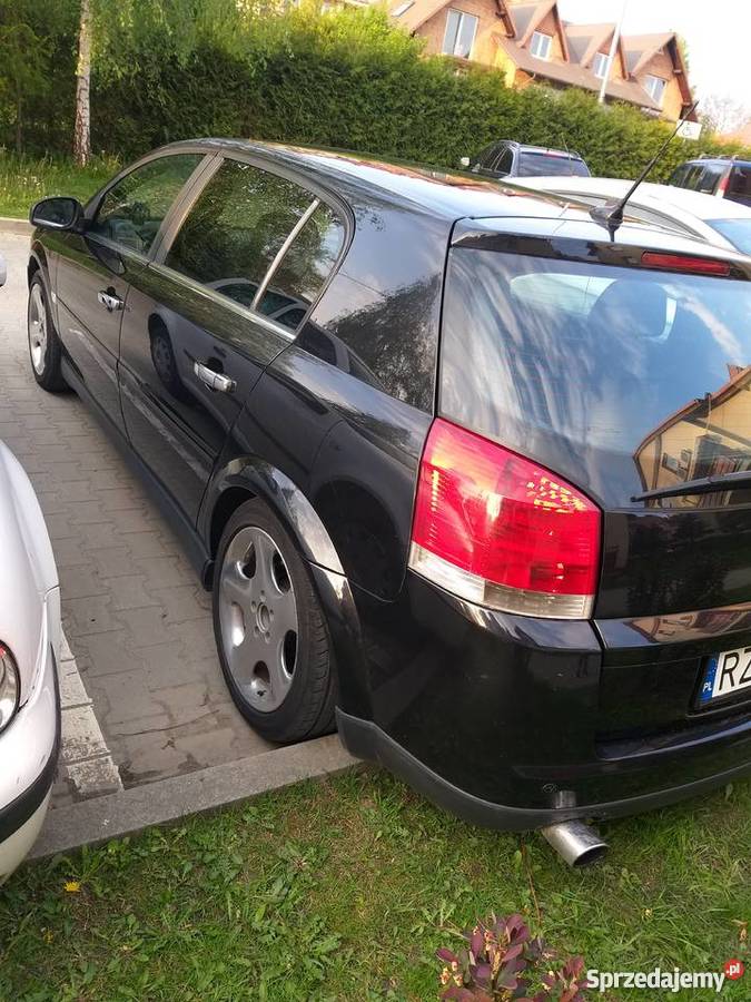 Opel Signum 20T z20net gazlpg doinwestowany elektrochrom. lusterka boczne Rzeszów sprzedam