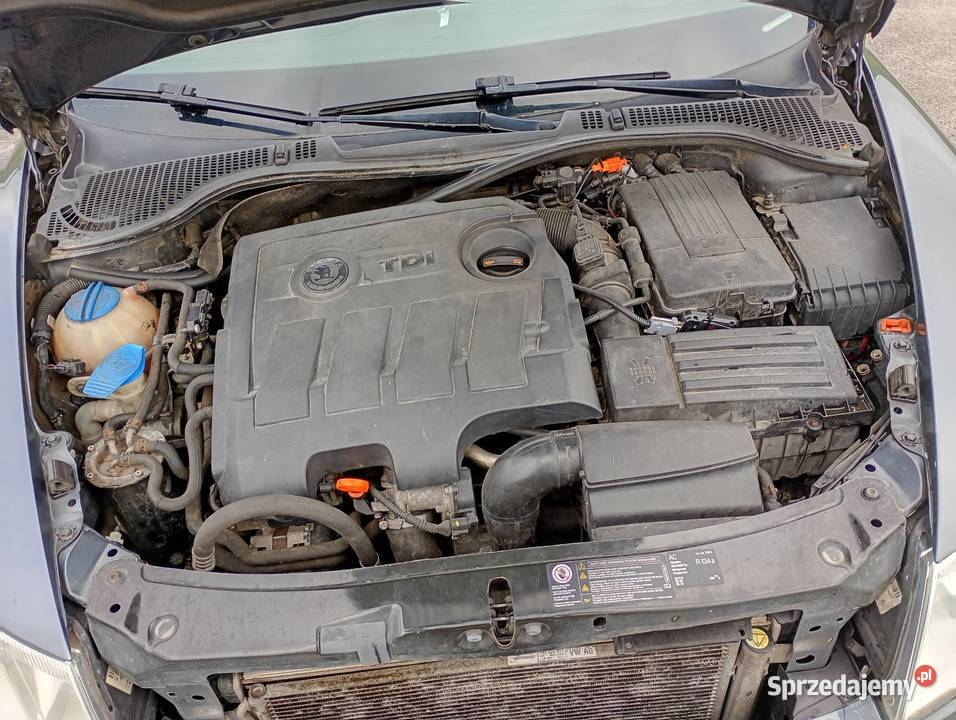 Skoda Octavia 16 TDI 105 green line Octavia Kielce