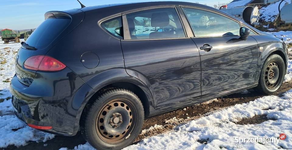 Seat Leon Chojnów