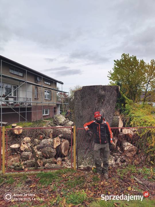 wycinka drzew usługi rębakiem karczowanie Częstochowa
