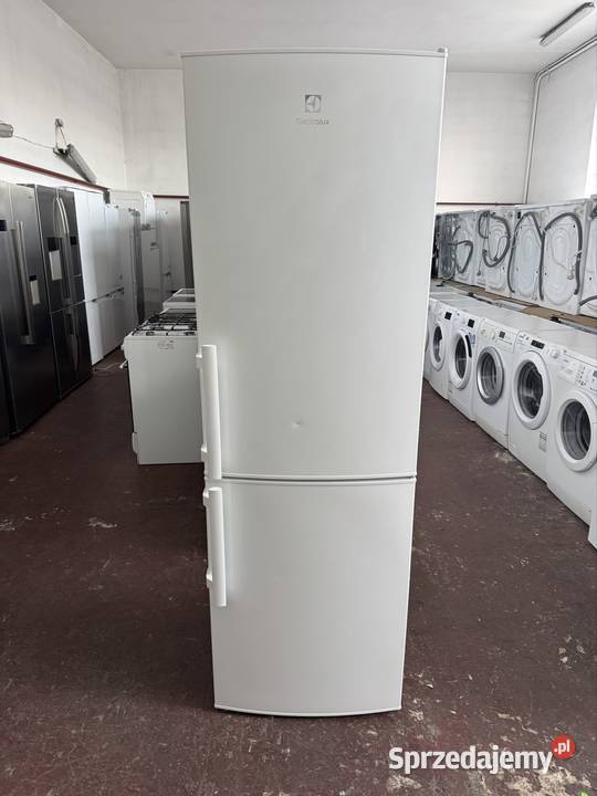 Lodówka Electrolux 185 A SPRAWNA Gwarancja Warszawa