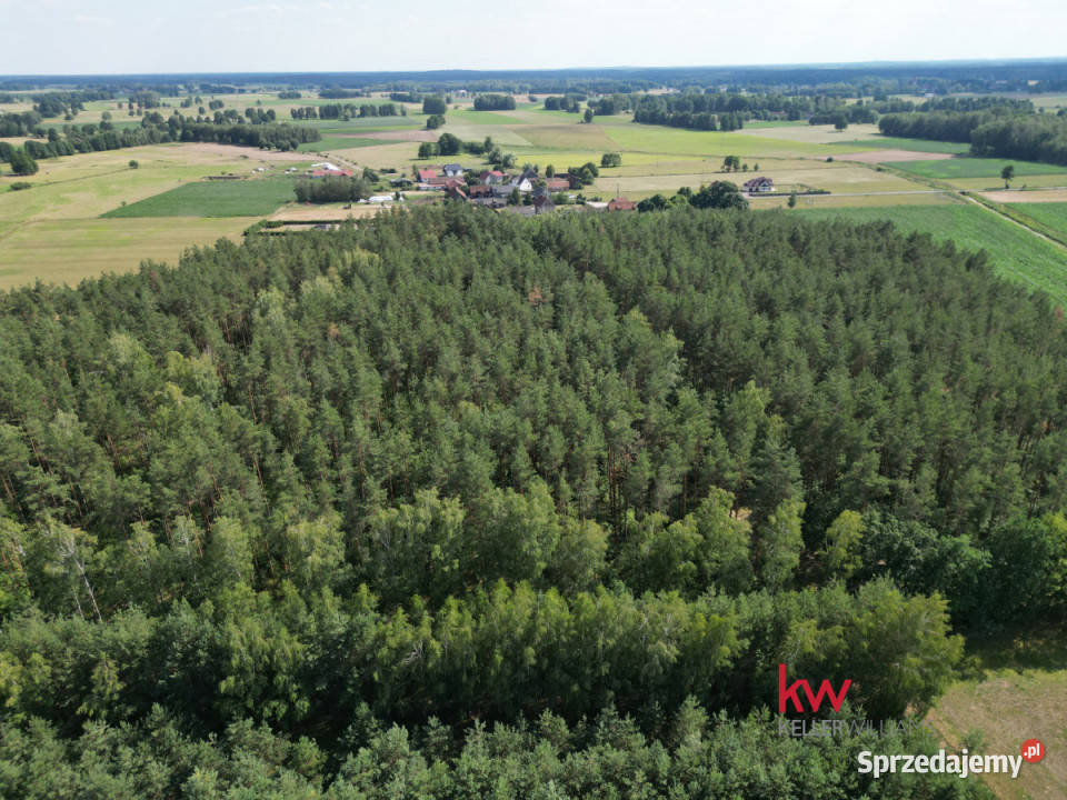 Grunt Jerominy 3702m2 warmińsko-mazurskie