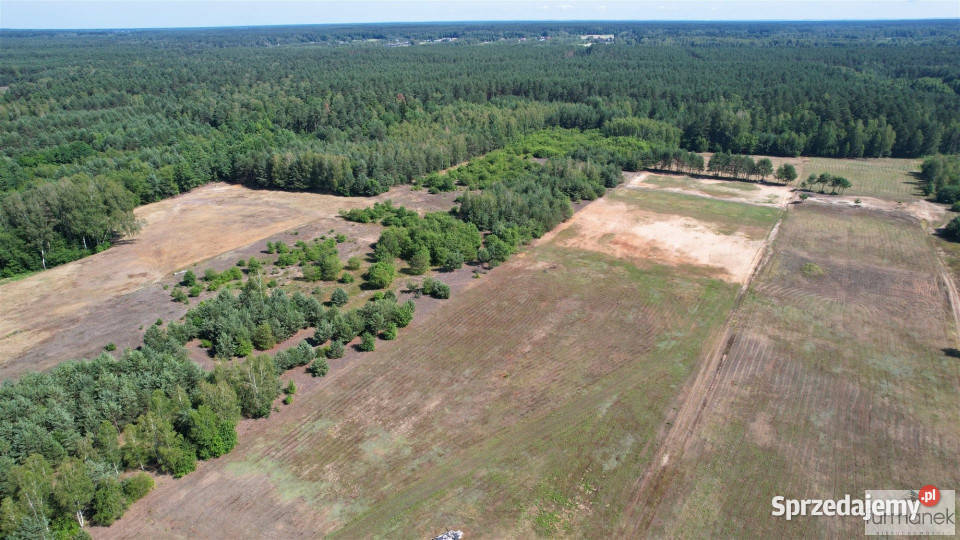 sprzedaży działki Łazory 1041m2