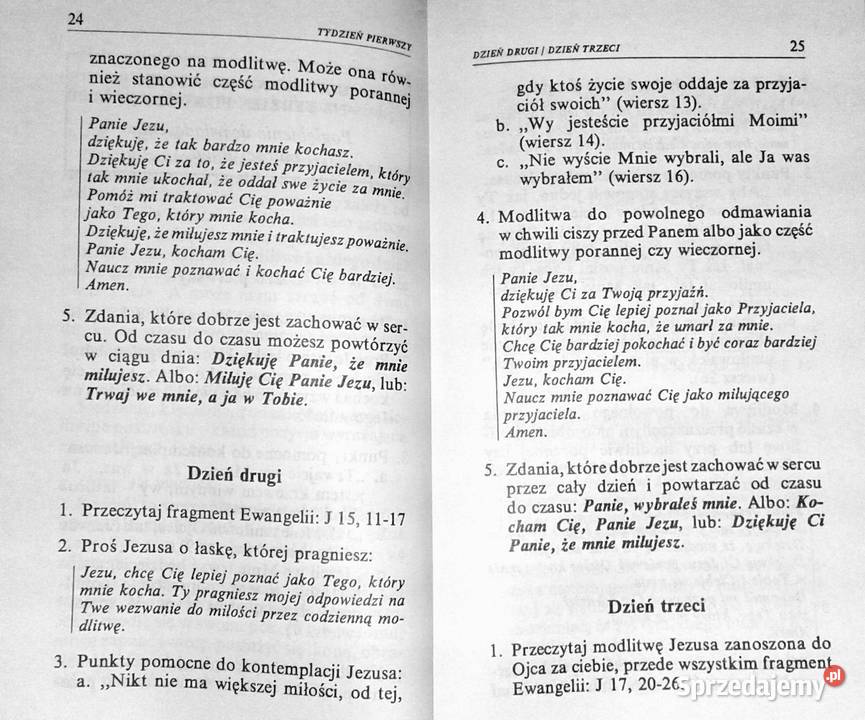 rozmawiać z Bogiem Lucy Roony SND Robert Faricy Chełm