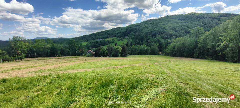 Sprzedam działkę widokową 3900m2 Raciechowice