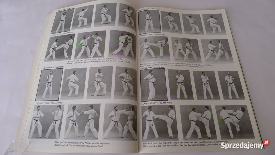 Cook Power Karate t III 1985 Oyama ArneilFitkin Radom