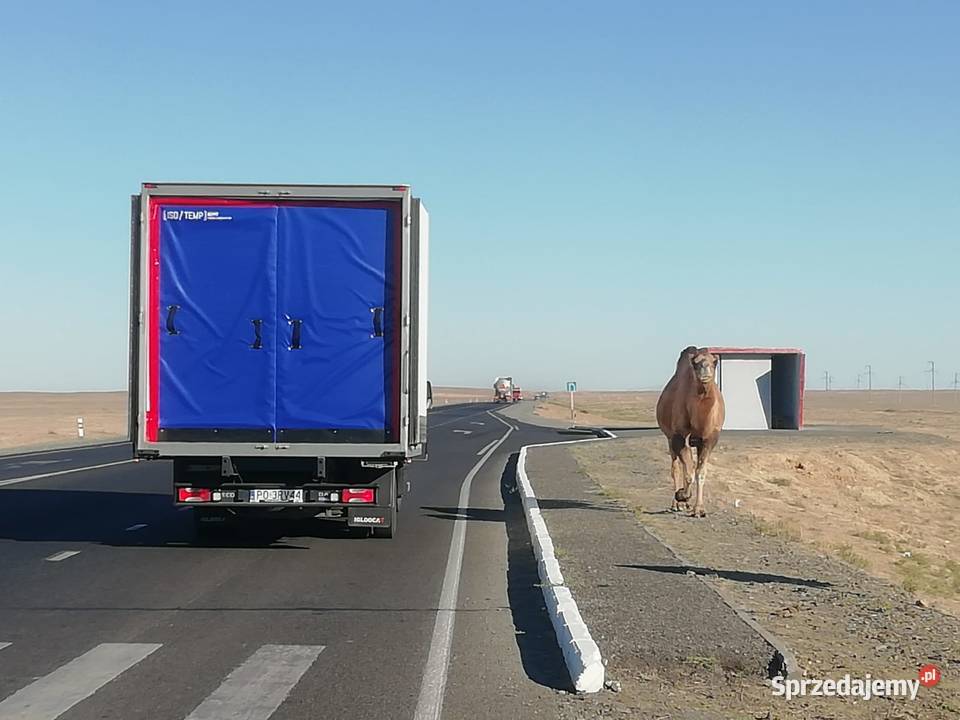 ISOTEMP 60MT Przegroda Termiczna 60MT Ściana dostawcze Szczecin