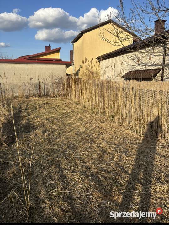 BCS 740 glebogryzarka separacyjna mulczer Celestynów