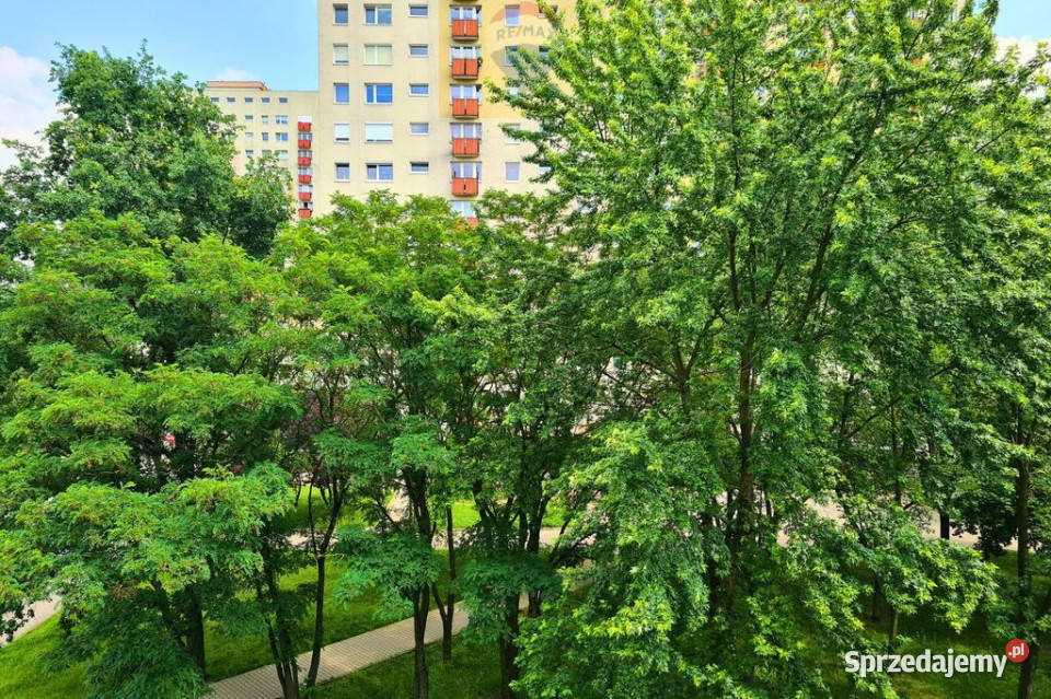 Trzypokojowe mieszkanie os Wichrowe Wzgórze Sprzedaż Poznań