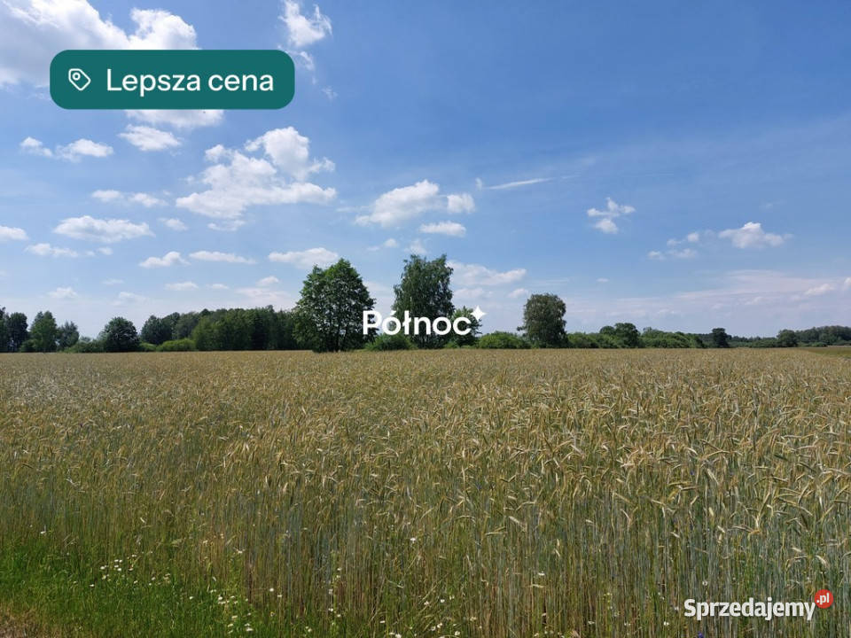 Ziemia rolna 714 ha Nietiahy gm Dębowa Kłoda lubelskie sprzedam