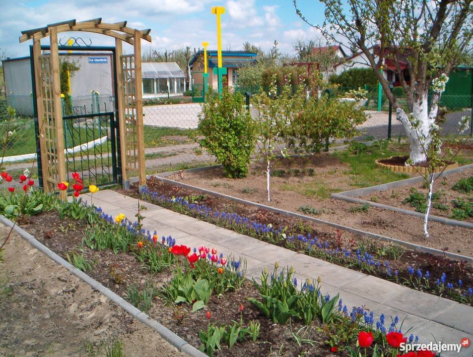 ROD Malwa działka rekreacyjnowarzywna 31zł/m2 Szczecin