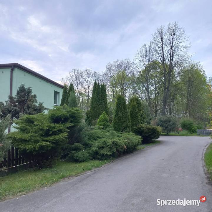 Sprzedam Dom z lasem w Przyszowicach strych sprzedam