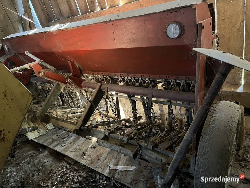 Siewnik Poznaniak lubelskie Janów Lubelski