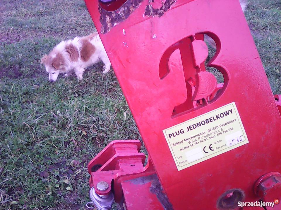 Pług jednobelkowy Krzewno sprzedam