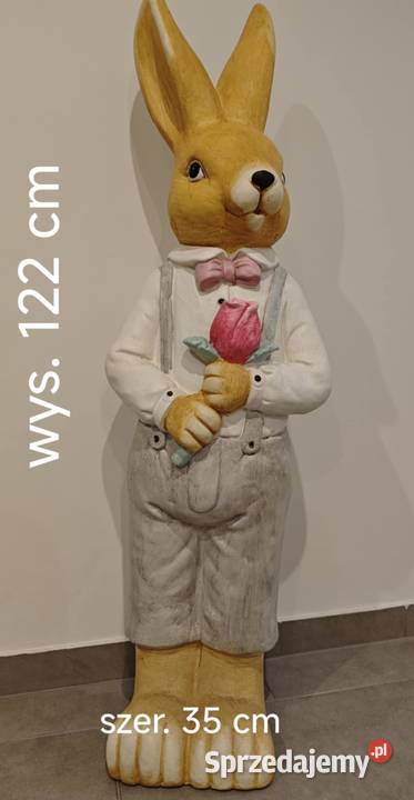 Zająć dziewczynka chłopiec XXL Dębica