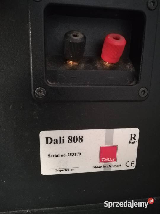 Kolumny głośnikowe Dali 808 Pozostałe Pozostałe Szczecin