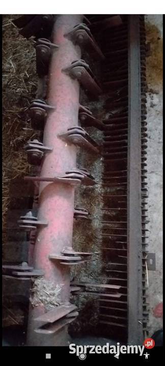 Sieczkarnia Massey Ferguson 520 525 530 łódzkie Czyżyków sprzedam