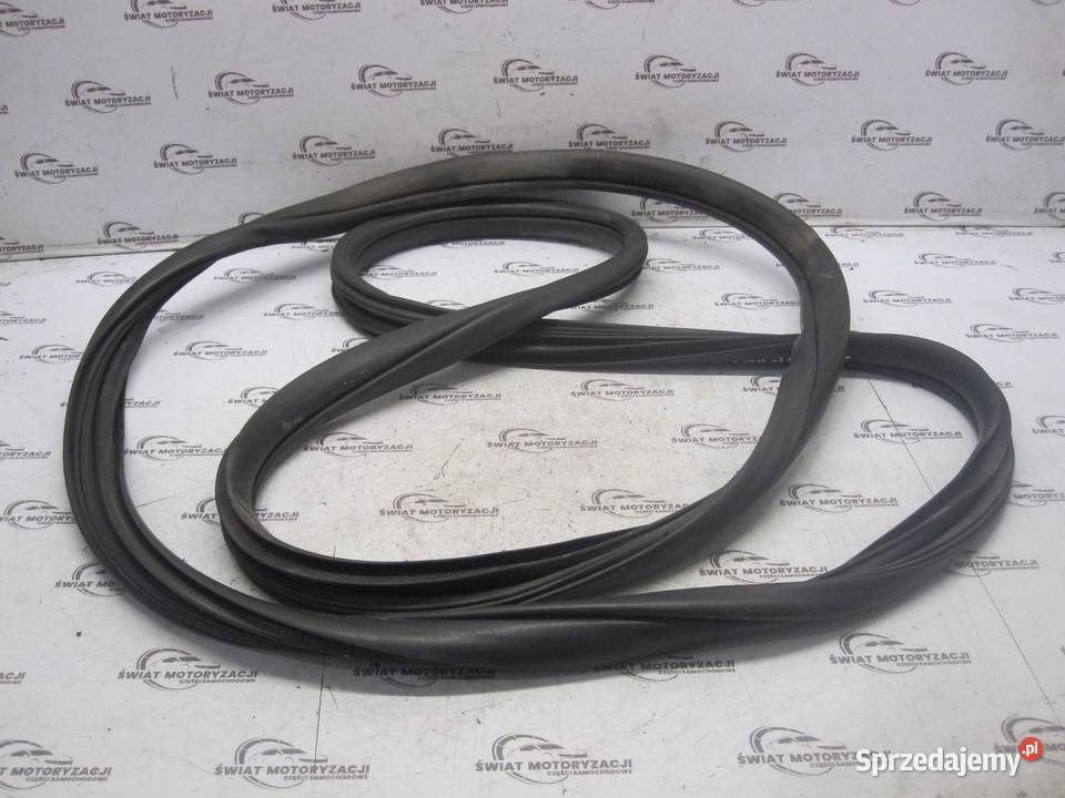 PATHFINDER III R51 10r uszczelka prawa tył osobowe