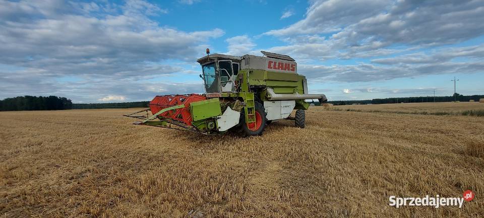 Class dominator 114 Lipka